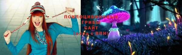 мдпв Алексин