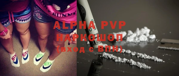 apvp Алзамай