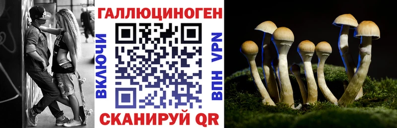 где купить наркотик  Армянск  Галлюциногенные грибы мухоморы 