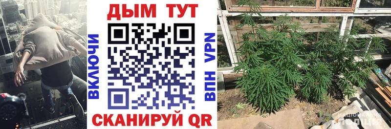 цены   Армянск  Бошки марихуана OG Kush 